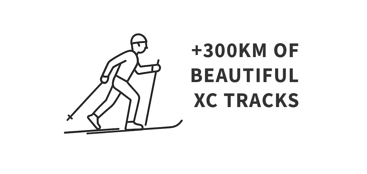 Made activities in Ylläs